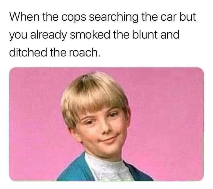 20 Mixed Memes Guaranteed to Make Your Poop Break Hilarious! 3 Cops searching the car - mixed memes