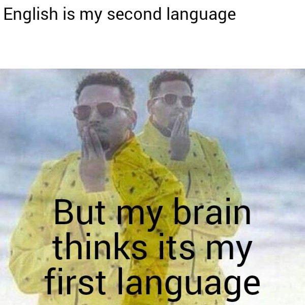 25 English Language Memes to Celebrate English Language Day in Full Stop 22 English is my second language