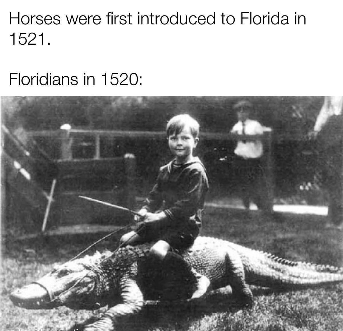20 Memes to Keep the Smiles Coming! 9 Floridians in 1850