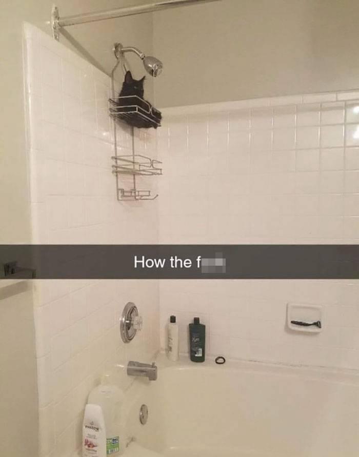 20 Memes to Keep the Smiles Coming! 12 How