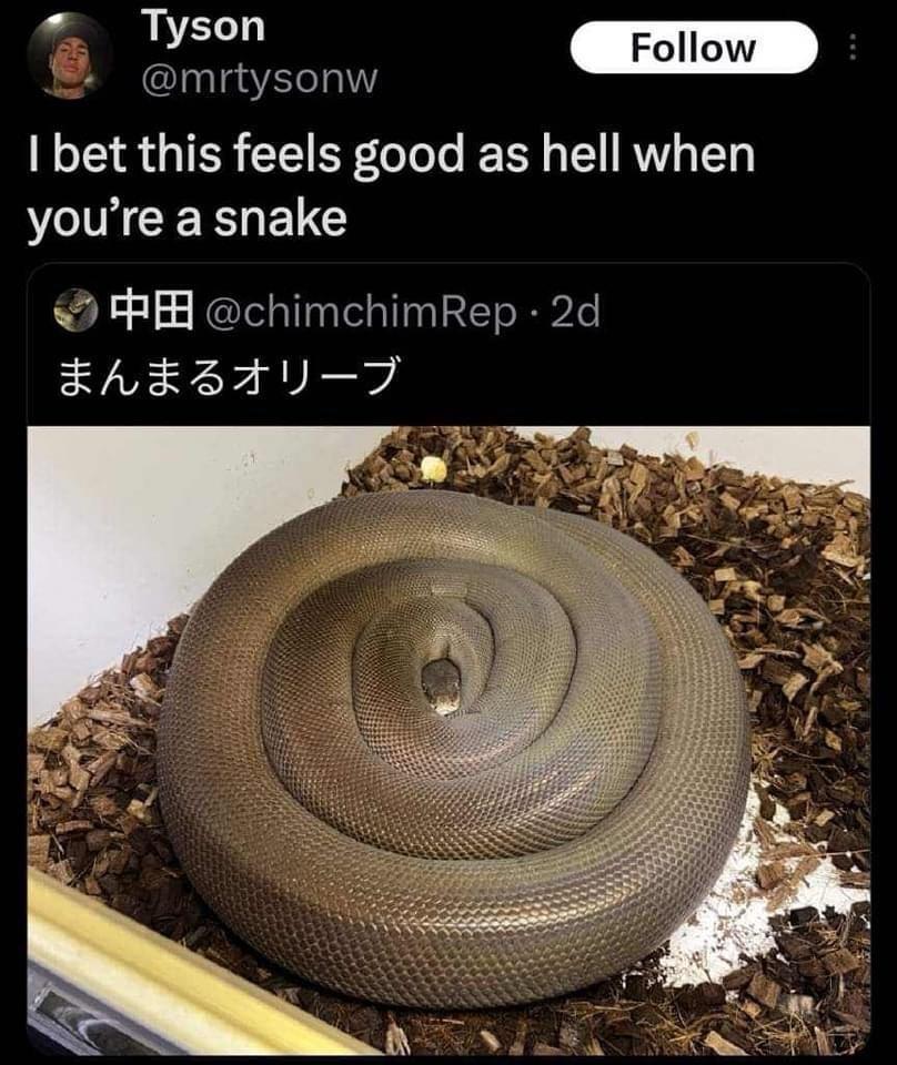 20 Mixed Memes Guaranteed to Make Your Poop Break Hilarious! 7 I bet this feels good - mixed memes