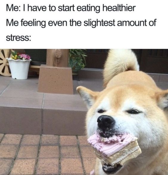 20 Health Memes to Get You Laughing on World Health Day 9 I have to start eating healthier - health memes