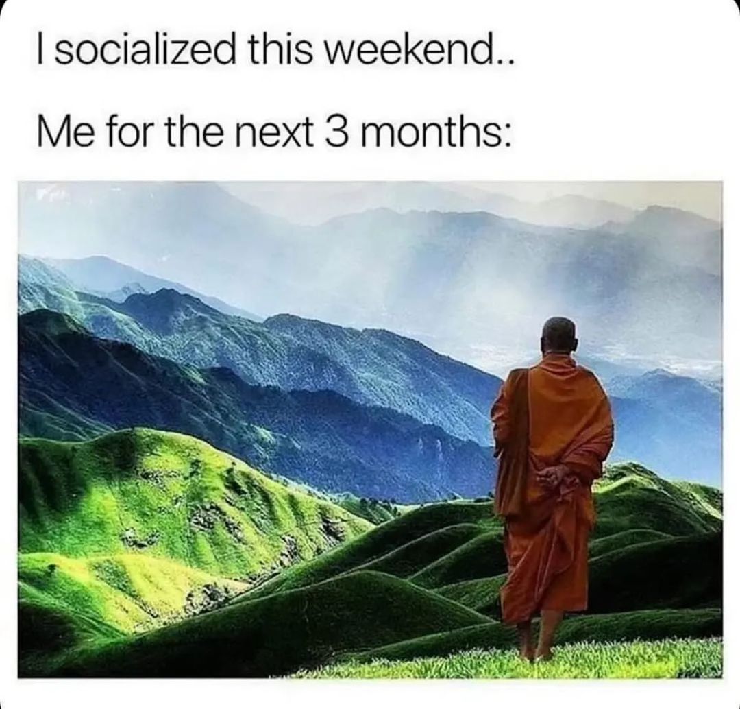 20 Accurate Introvert Memes: Because We'd Rather Scroll Than Socialize 6 I socialize this weekend - accurate introvert memes