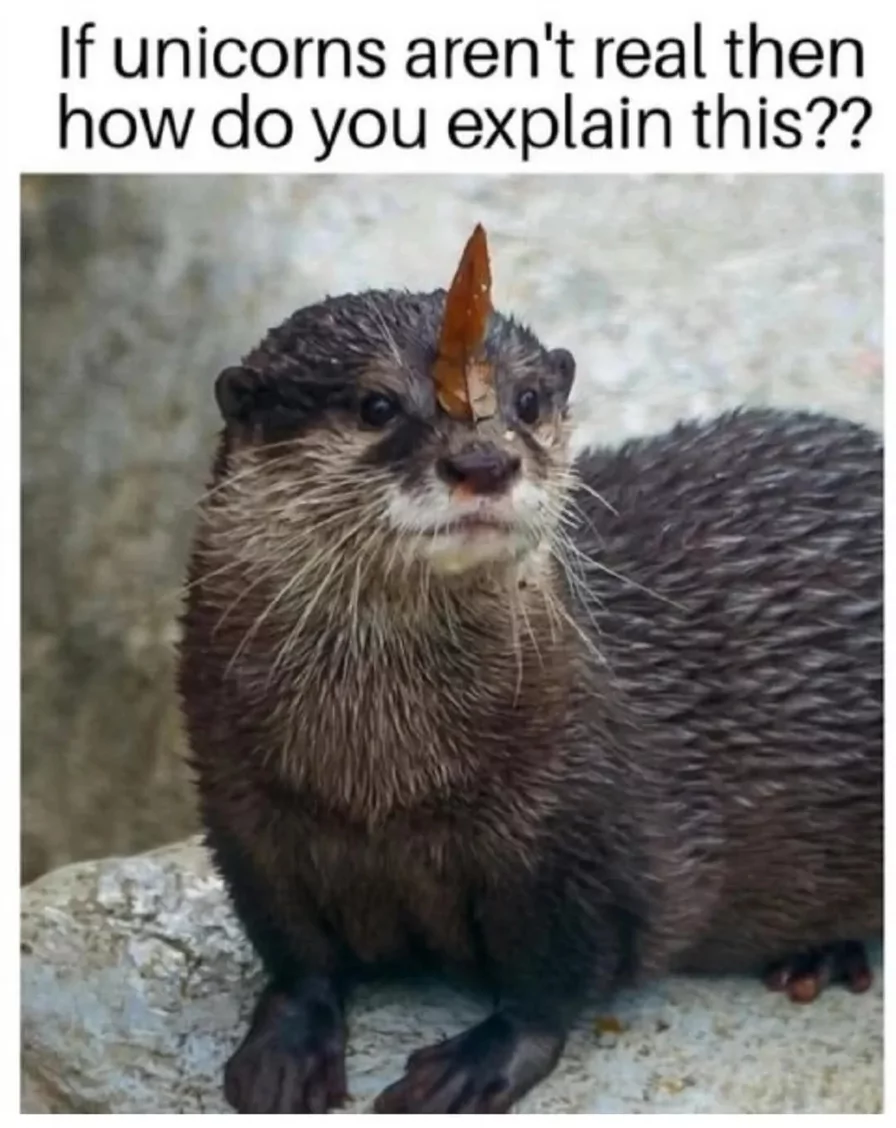 25 Unicorn Memes to Illuminate Your International Unicorn Day with Laughter 25 If unicorns arent real