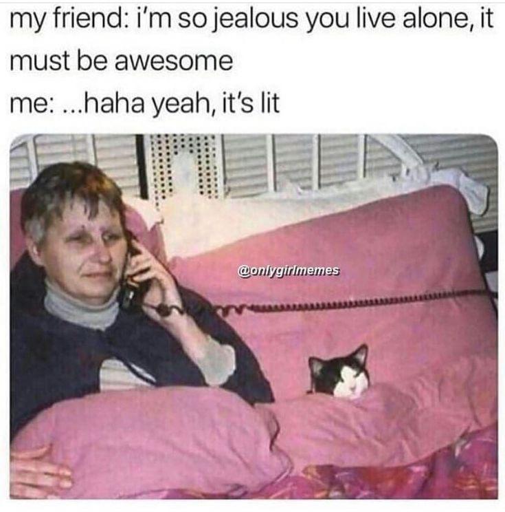 15 Memes That Will Make You Glad You Checked Your Phone 6 Im so jealous