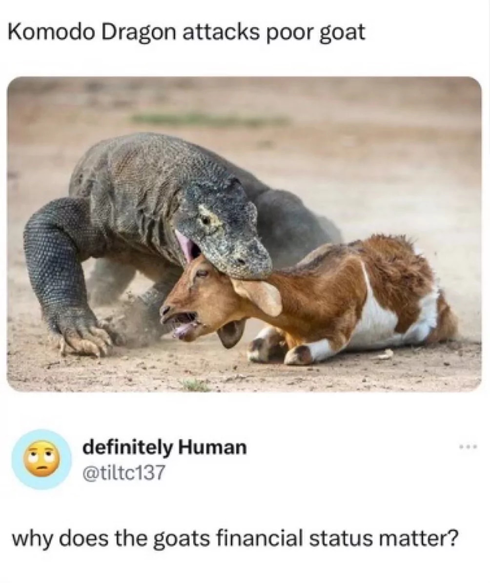 25 Goat Memes That Will Make You Go 'Bahahaha! 23 Komodo dragon