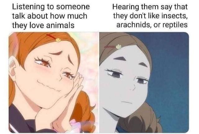24 Nature Memes for Anyone Who Needs a Breath of Fresh Air 11 Listening to someone - nature memes
