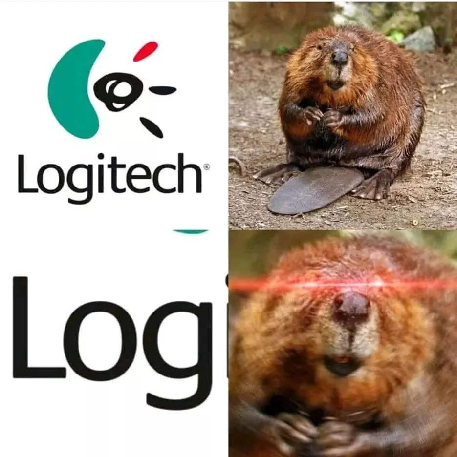 25 Dam Funny Beaver Memes to Celebrate International Beaver Day! 22 Logitech