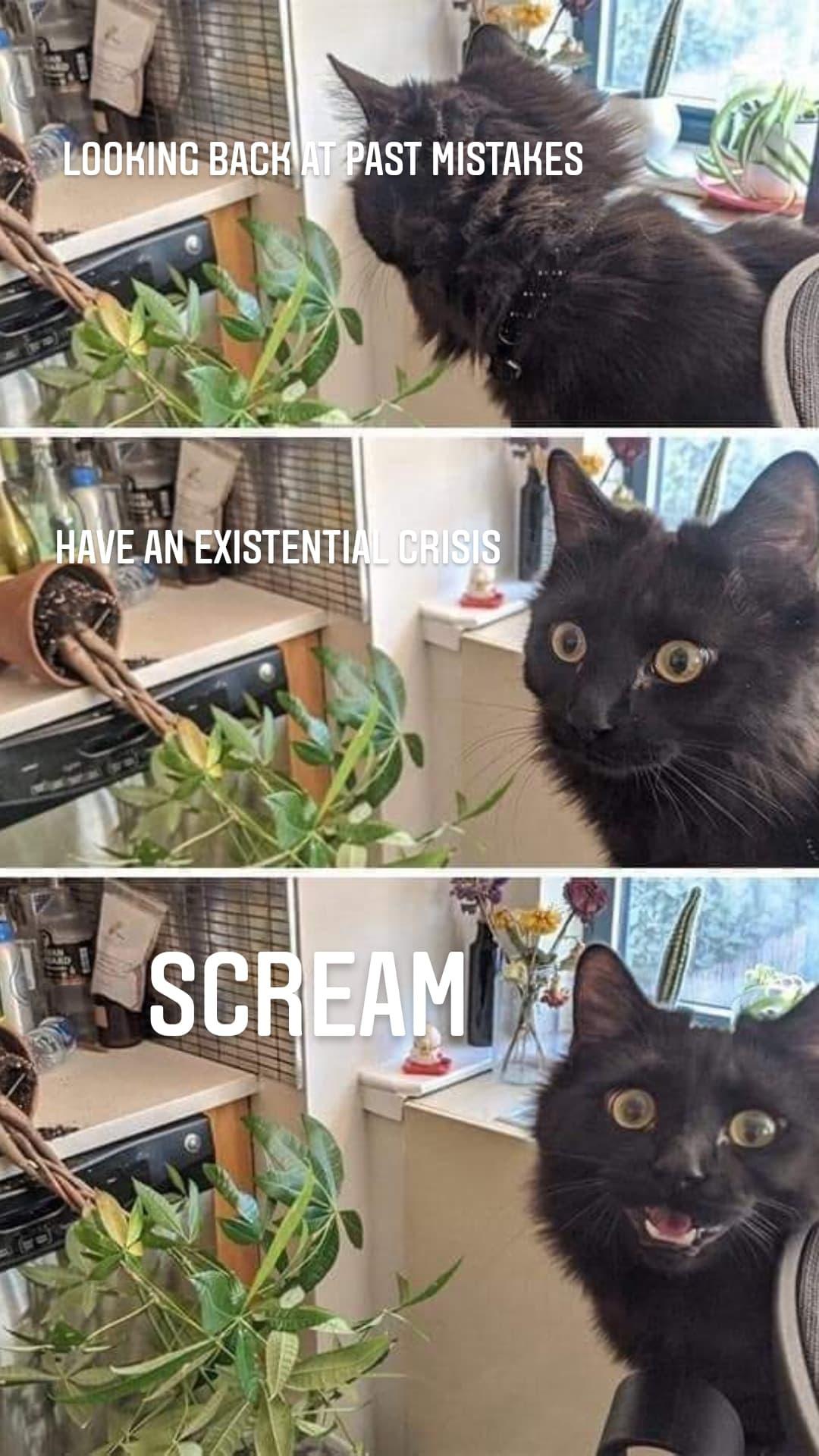 25 Memes Perfect for Your Midday Break 8 Look back at past mistakes