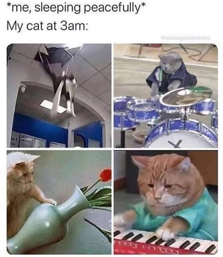 20 Memes That Are Bursting with Comedy 9 Me sleeping peacefully
