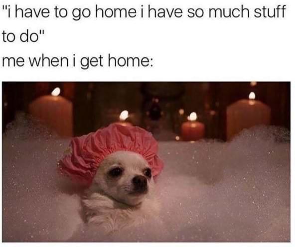 15 Memes That Should Come With a 'Laugh Responsibly' Warning 6 Me when I get home