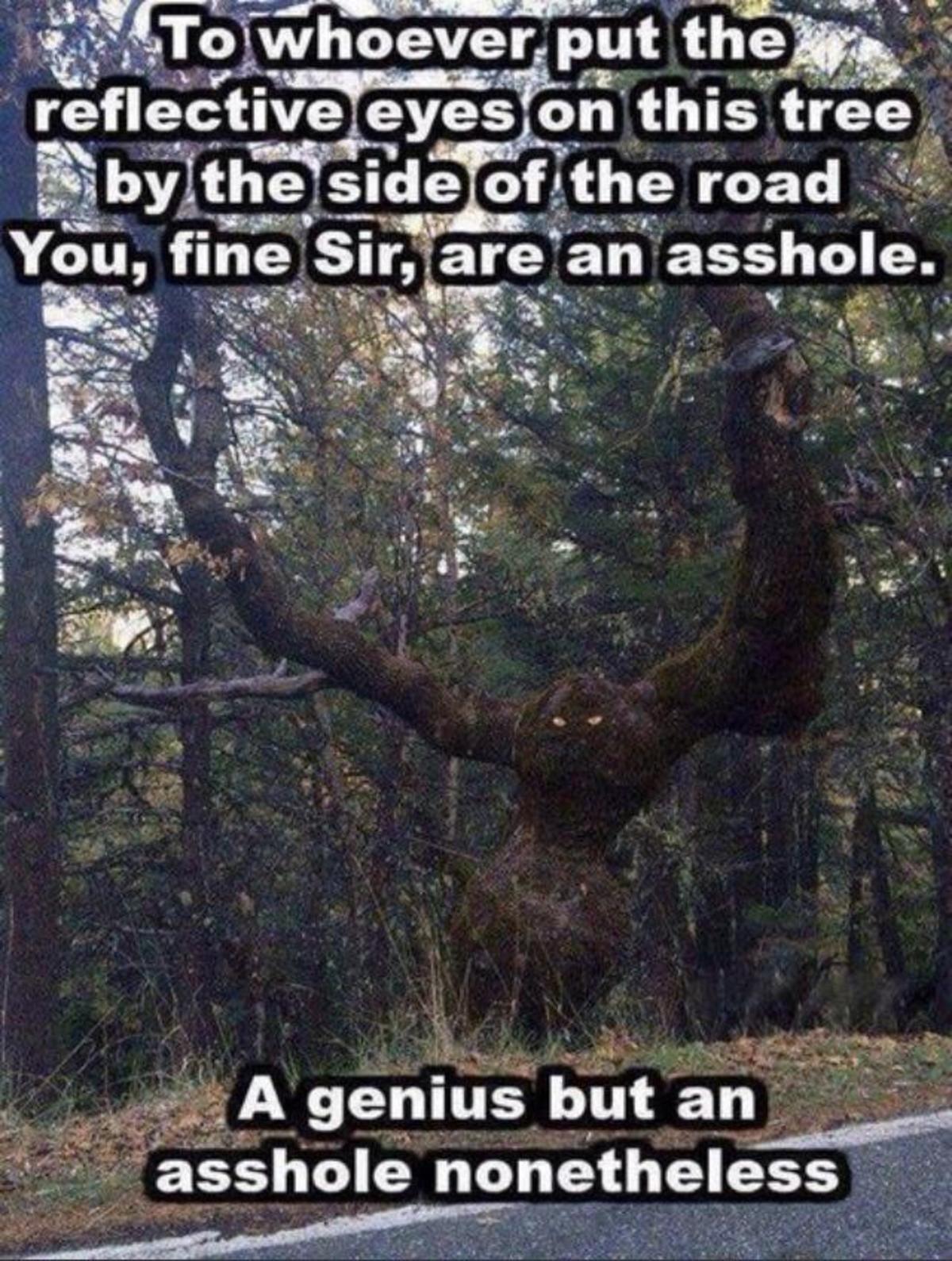 20 Mixed Memes Guaranteed to Make Your Poop Break Hilarious! 12 Reflective eyes - mixed memes