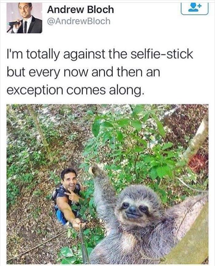 24 Nature Memes for Anyone Who Needs a Breath of Fresh Air 21 Selfuie stick