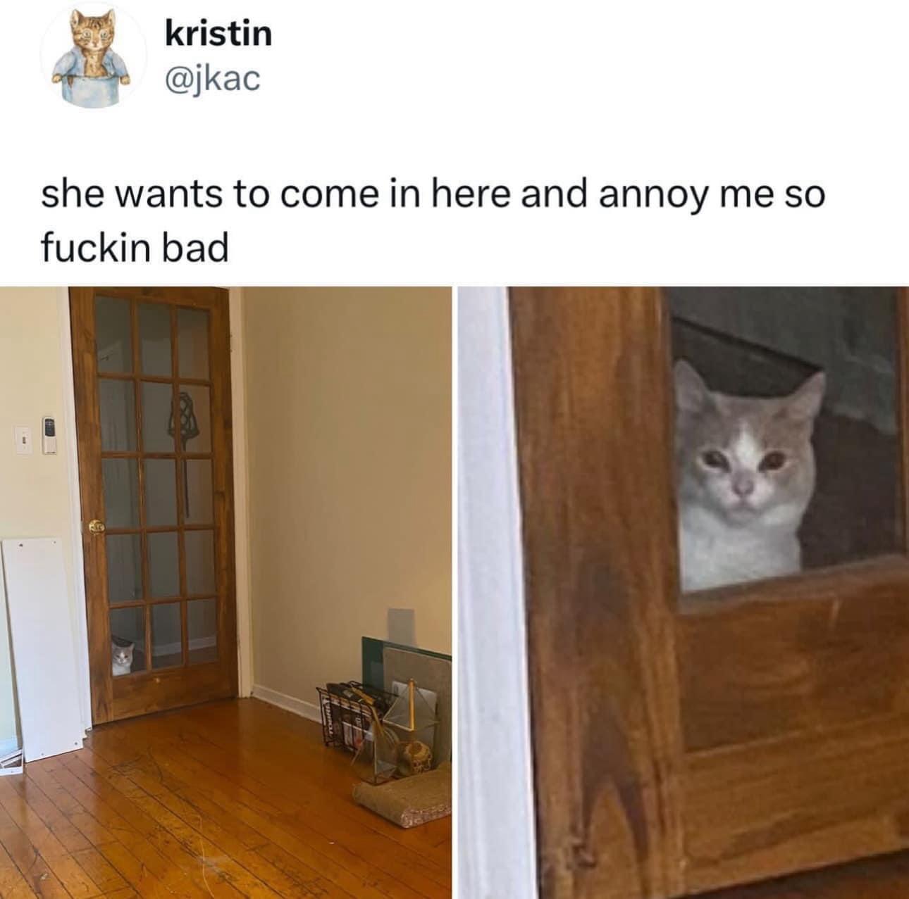 20 Memes That Are Bursting with Comedy 14 She wants to comein