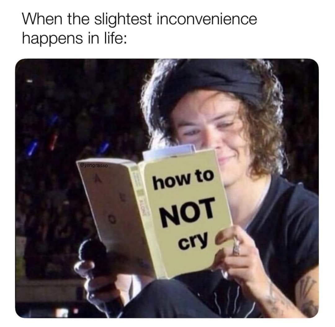 20 Memes to Keep the Smiles Coming! 19 Slighest inconvenience happens