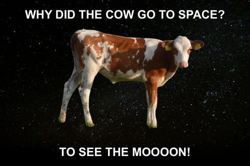Space Jokes - FG