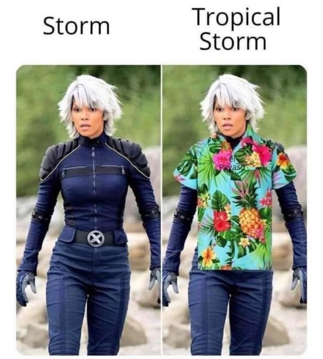 Storm - mixed memes