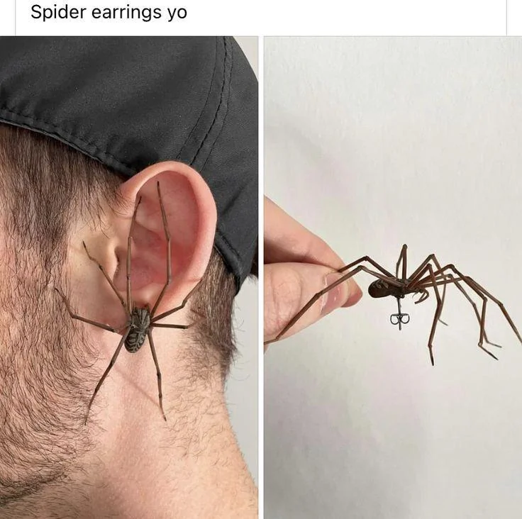 15 Unsettling Pics That Will Make You Feel Uneasy 5 Thanks I hate Spider earrings - Unsettling Pics