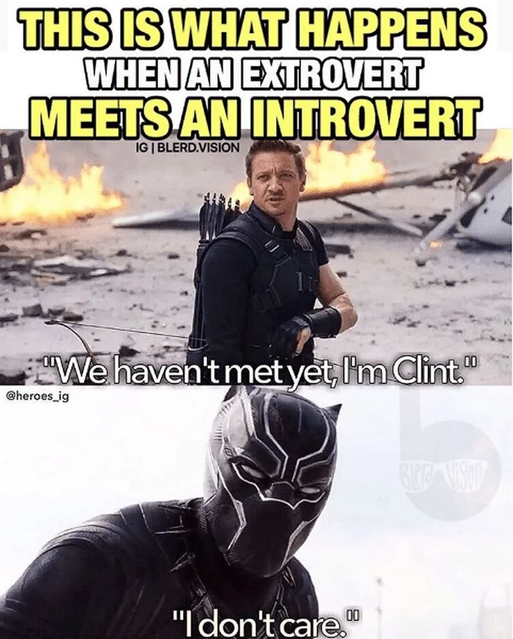 20 Memes That Show What Happens When An Extrovert Meets An Introvert 20 This is what happens