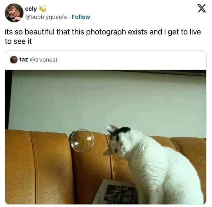10 Funny Wholesome Memes for Instant Happiness 10 This photograph exist - funny wholesome memes