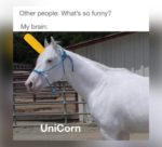 Unicorn Memes for International Unicorn Day - FG.png