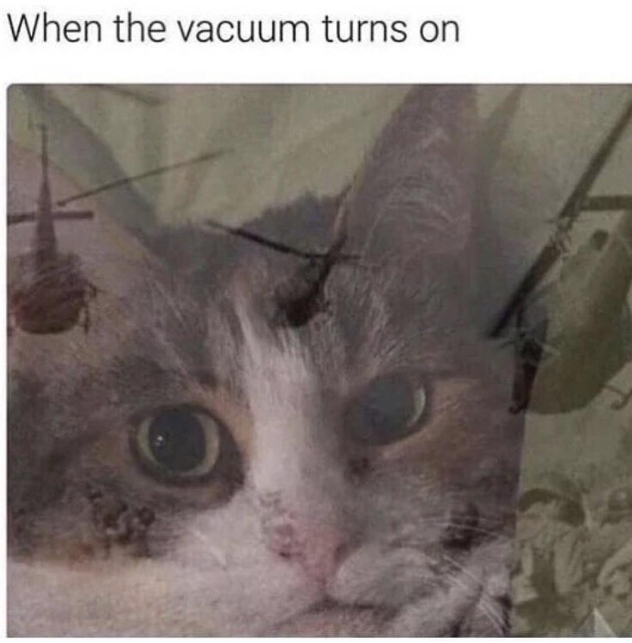 15 Memes That Should Come With a 'Laugh Responsibly' Warning 11 Vacuum turns on