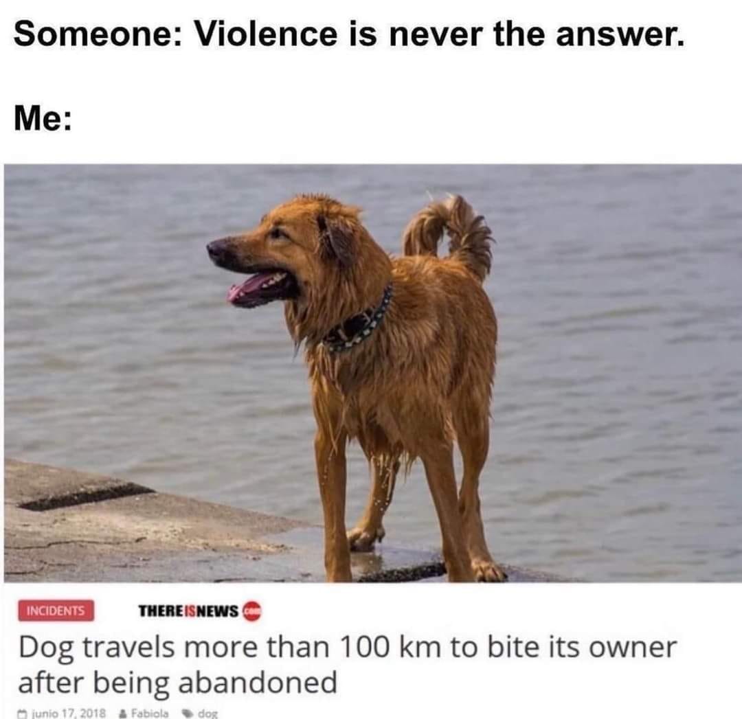 20 Clean Dog Memes for a Pawsitive Day! 17 Violence is never the answer clean dog memes