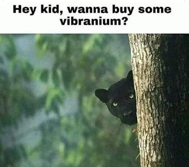 24 Nature Memes for Anyone Who Needs a Breath of Fresh Air 16 Wanna buy some vibranium - nature memes