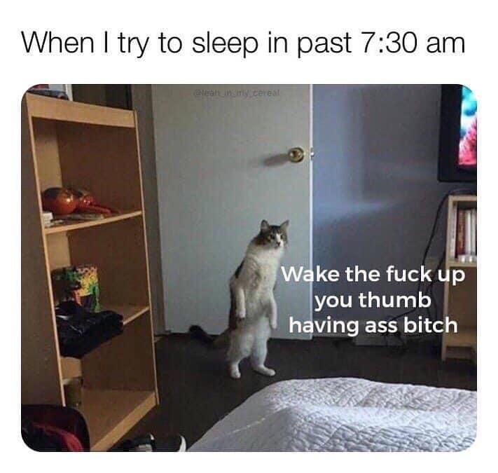 15 Memes That Should Come With a 'Laugh Responsibly' Warning 12 When I try to sleep