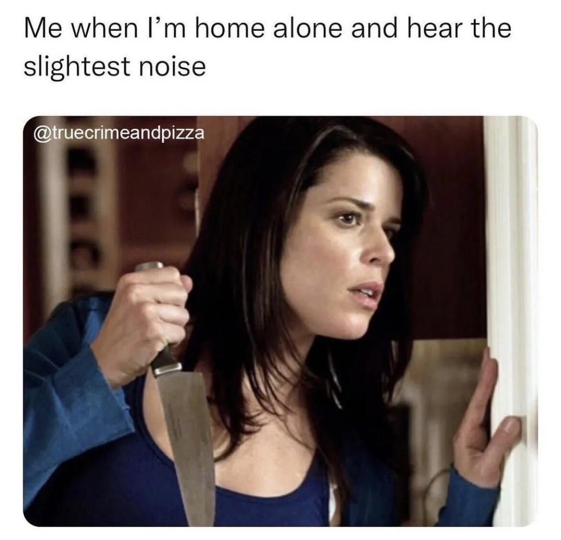 25 Aimless Memes To Scroll Through When Your Bosses Are Not Looking 25 When Im home alone