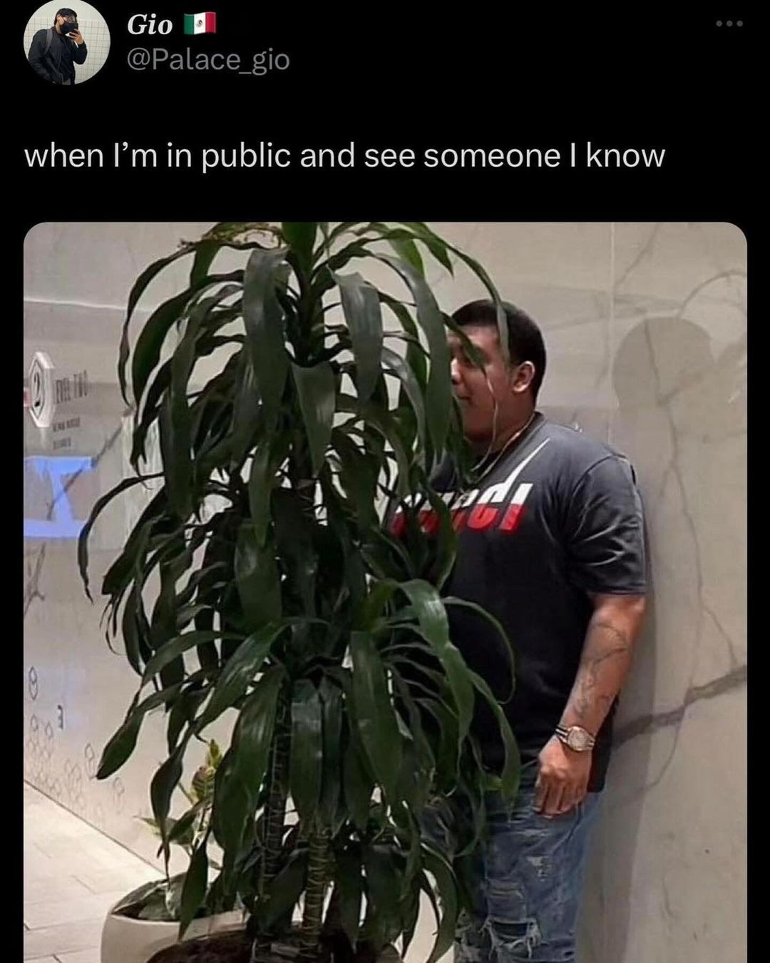 20 Accurate Introvert Memes: Because We'd Rather Scroll Than Socialize 18 When Im in public - accurate introvert memes