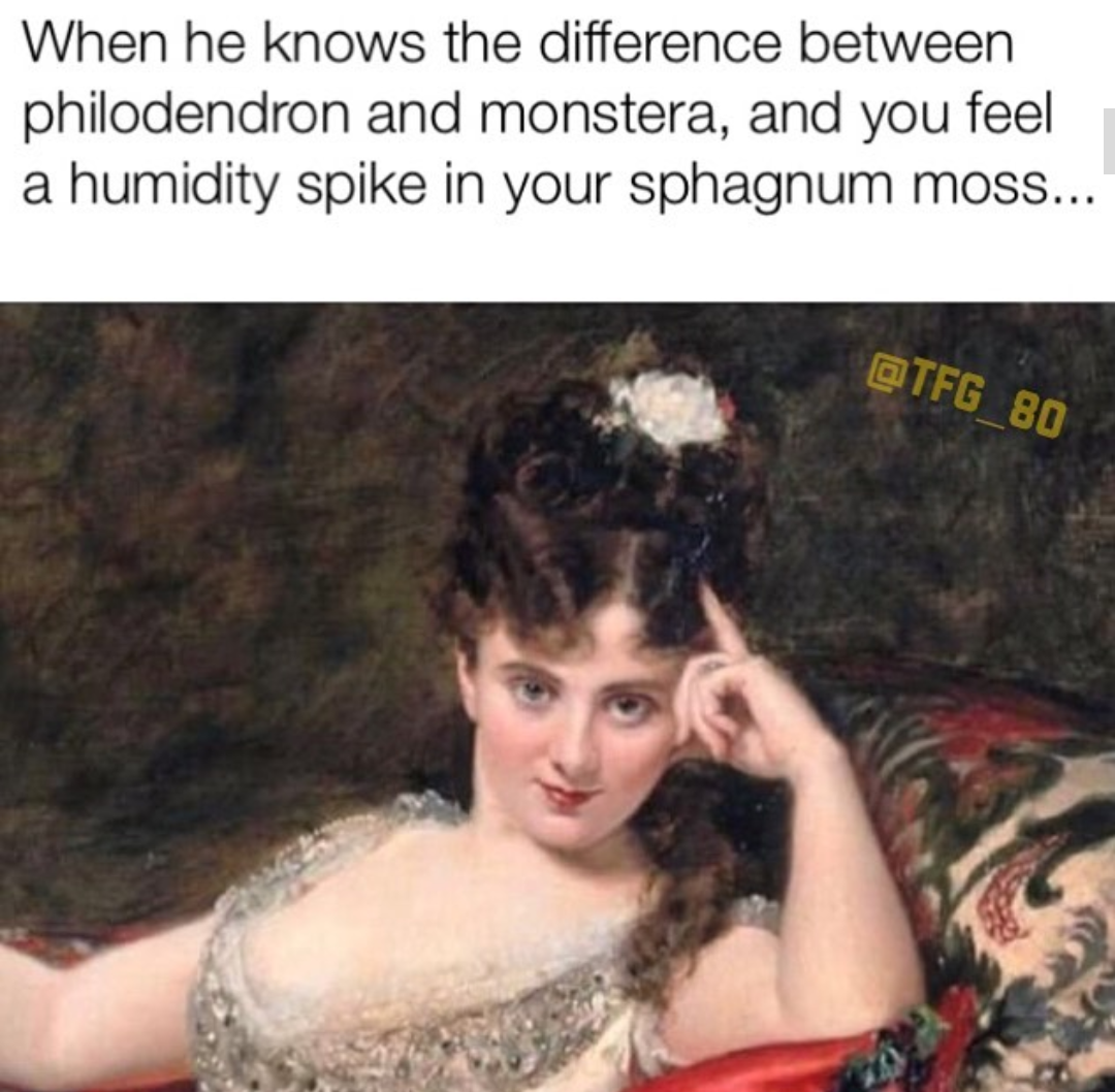 24 Nature Memes for Anyone Who Needs a Breath of Fresh Air 17 When he knows - nature memes