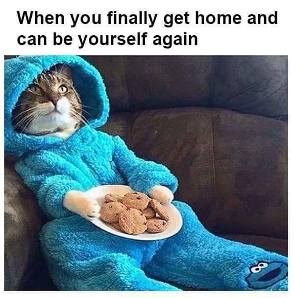 15 Memes That Should Come With a 'Laugh Responsibly' Warning 14 When you finally get home