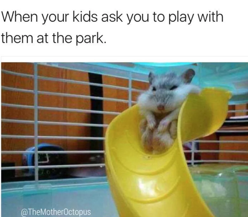 20 Funniest Hamster Memes for World Hamster Day 18 When your kids ask you to play - Hamster Memes