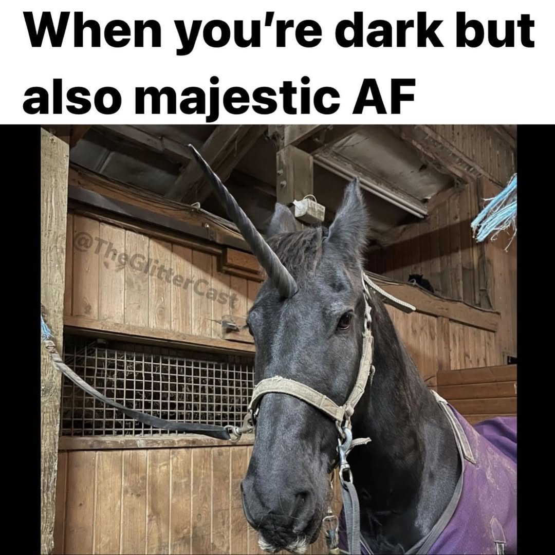 25 Unicorn Memes to Illuminate Your International Unicorn Day with Laughter 27 When youre drunk