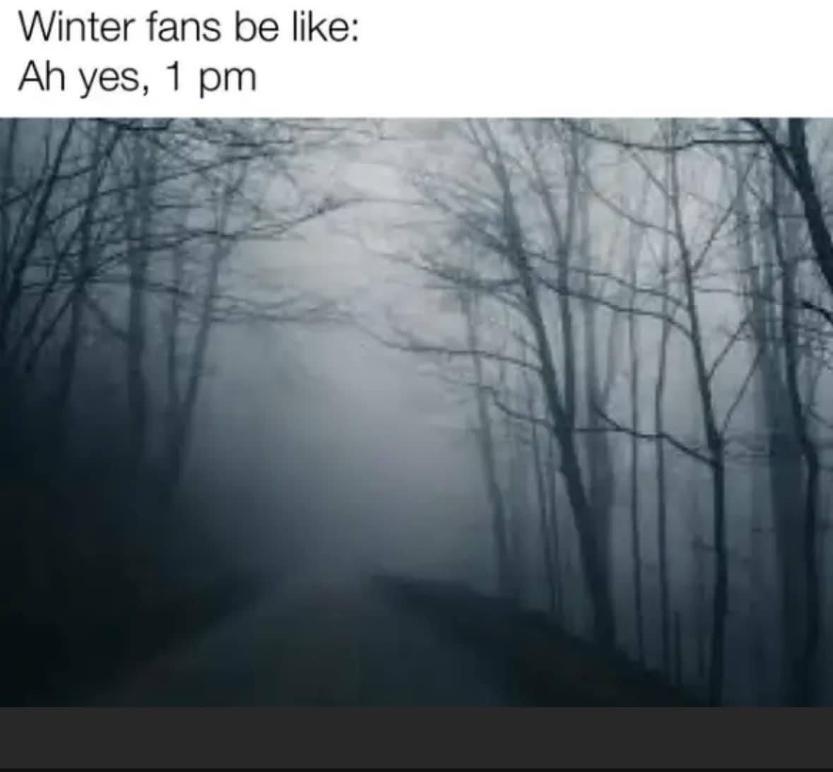 24 Nature Memes for Anyone Who Needs a Breath of Fresh Air 20 Winter fans be like - nature memes