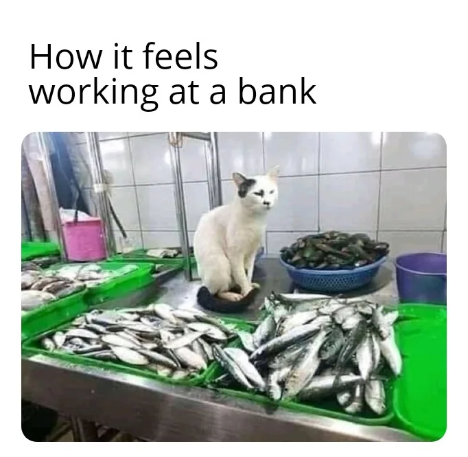 20 Self Control Memes That Will Make You Want to Take Charge 19 Working at a bank
