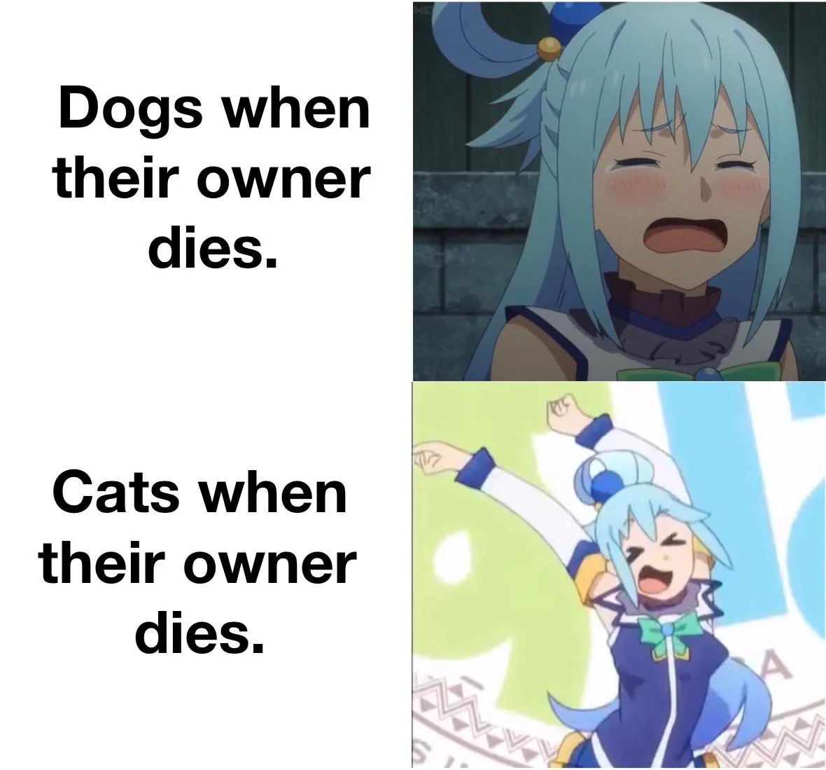 18 Dog vs Cat Memes That Will Make You Laugh & Pick a Side 11 dogs - dog vs cat memes