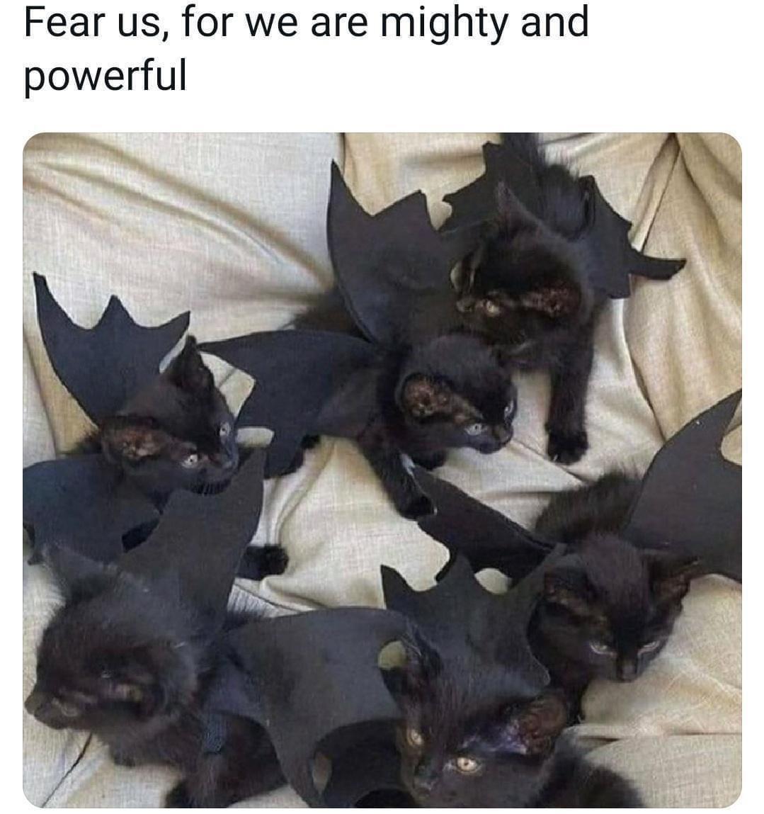 15 Memes That Should Come With a 'Laugh Responsibly' Warning 2 fear us