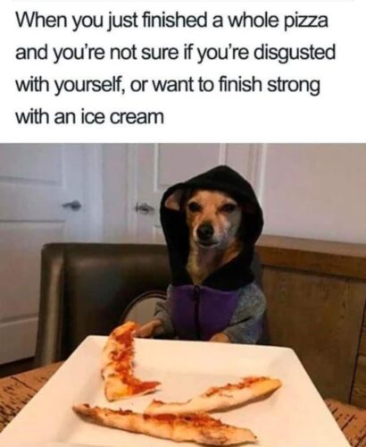 20 Clean Dog Memes for a Pawsitive Day! 4 finished a. whole pizza - clean dog memes