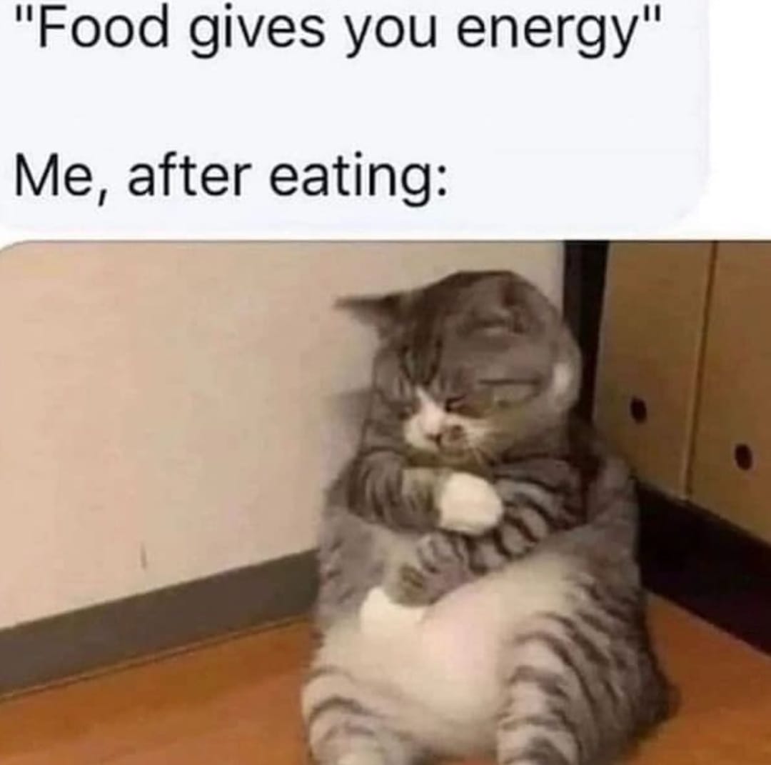 20 Top Quality Cat Memes That Are Simply Purr-fect 5 food gives you energy - top quality cat memes