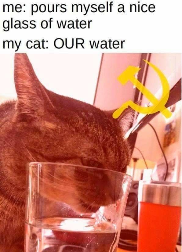 15 Memes That Should Come With a 'Laugh Responsibly' Warning 5 glass of water