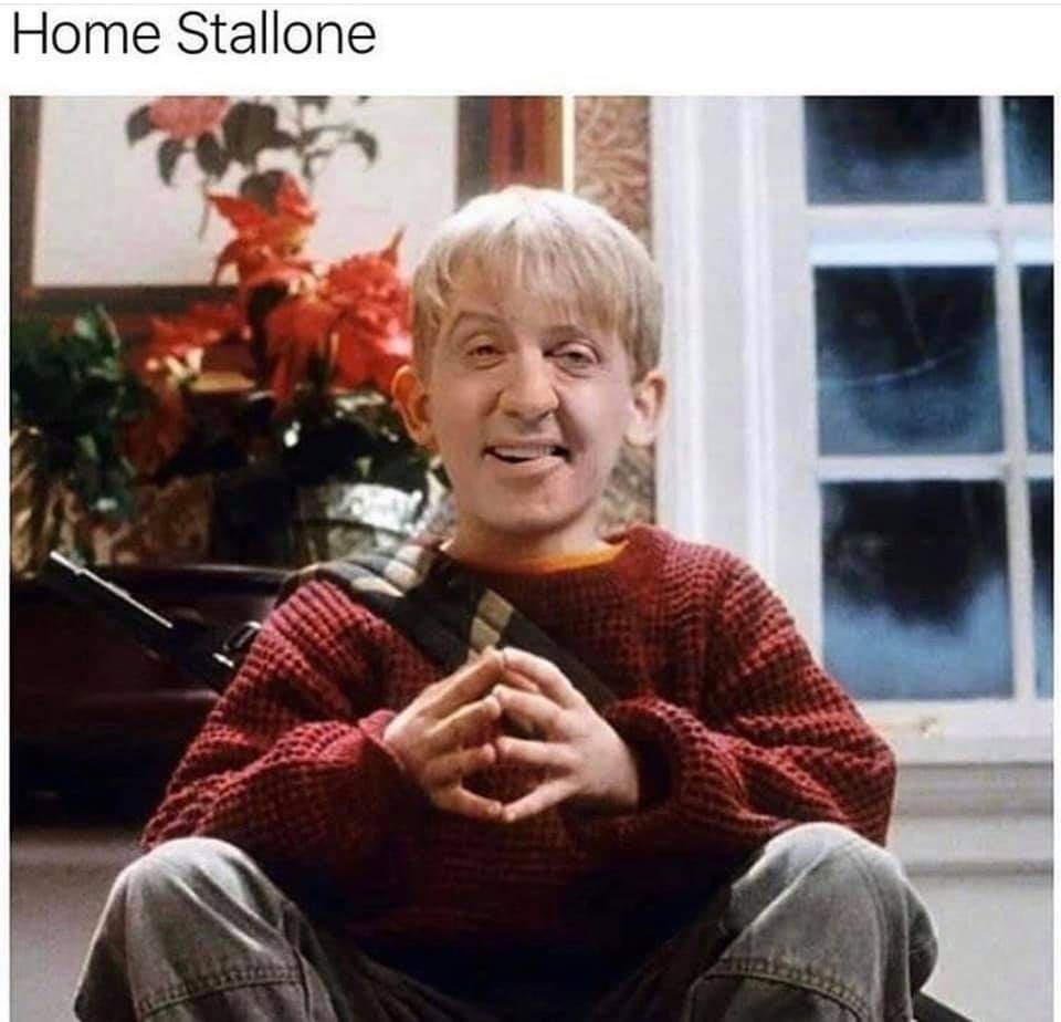 25 Blissful Memes That Could End Wars (But Mostly Just End Boredom) 7 home stallone - blissful memes