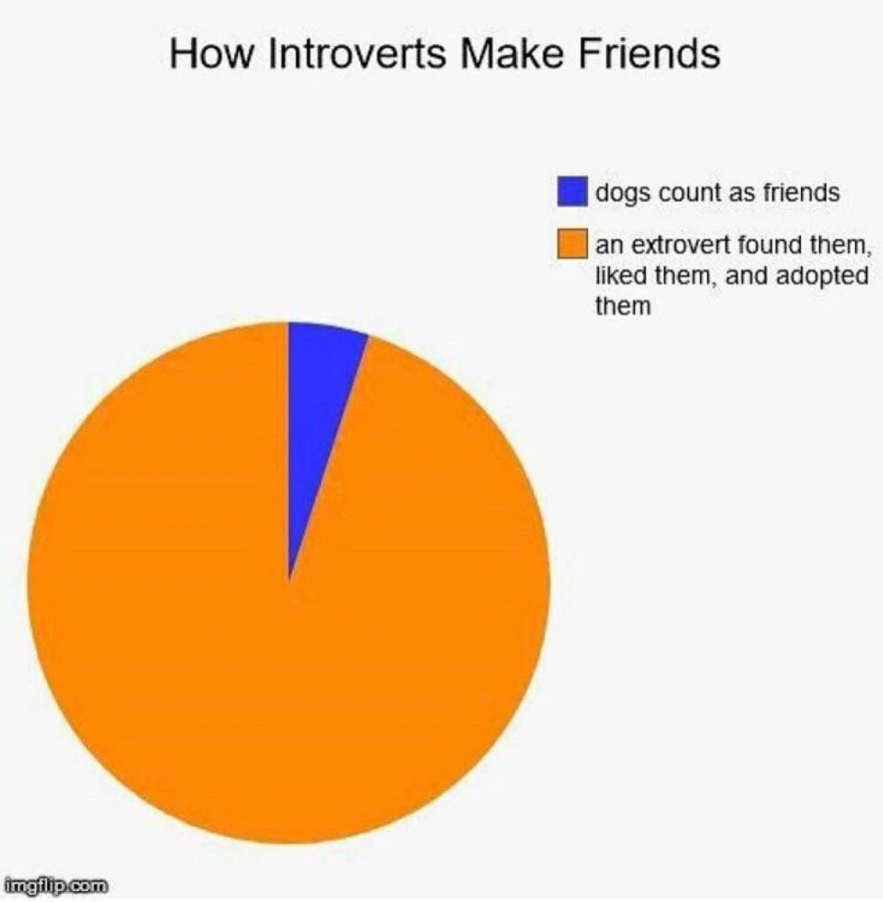 20 Memes That Show What Happens When An Extrovert Meets An Introvert 16 how introvert makes friend