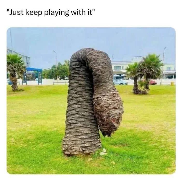 15 Memes That Will Make You Glad You Checked Your Phone 8 keep playing with it