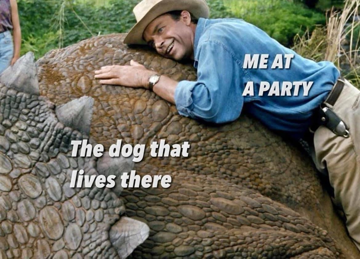 32 Pets Memes That Every Pet Parent Can Relate To 28 me at a party