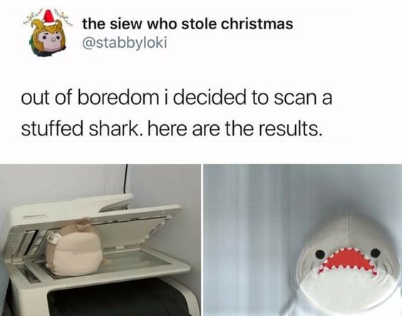 10 Funny Wholesome Memes for Instant Happiness 7 out of boredom - funny wholesome memes