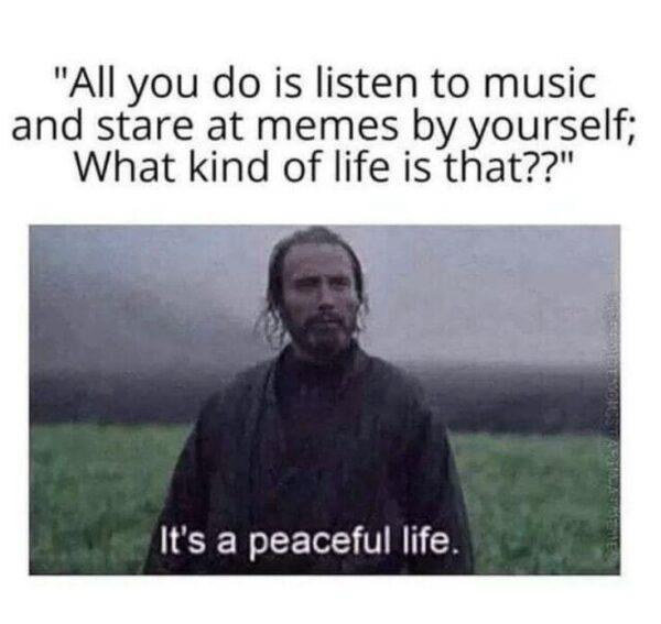 15 Memes That Will Make You Glad You Checked Your Phone 11 peaceful life