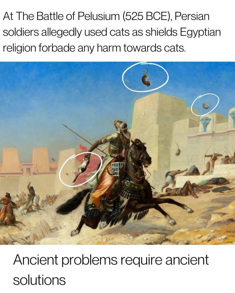 20 Memes That'll Make Your Jaw Drop 12 persian soldiers