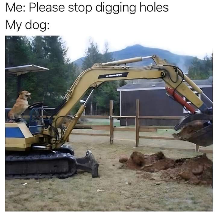 32 Pets Memes That Every Pet Parent Can Relate To 30 stop digging holes